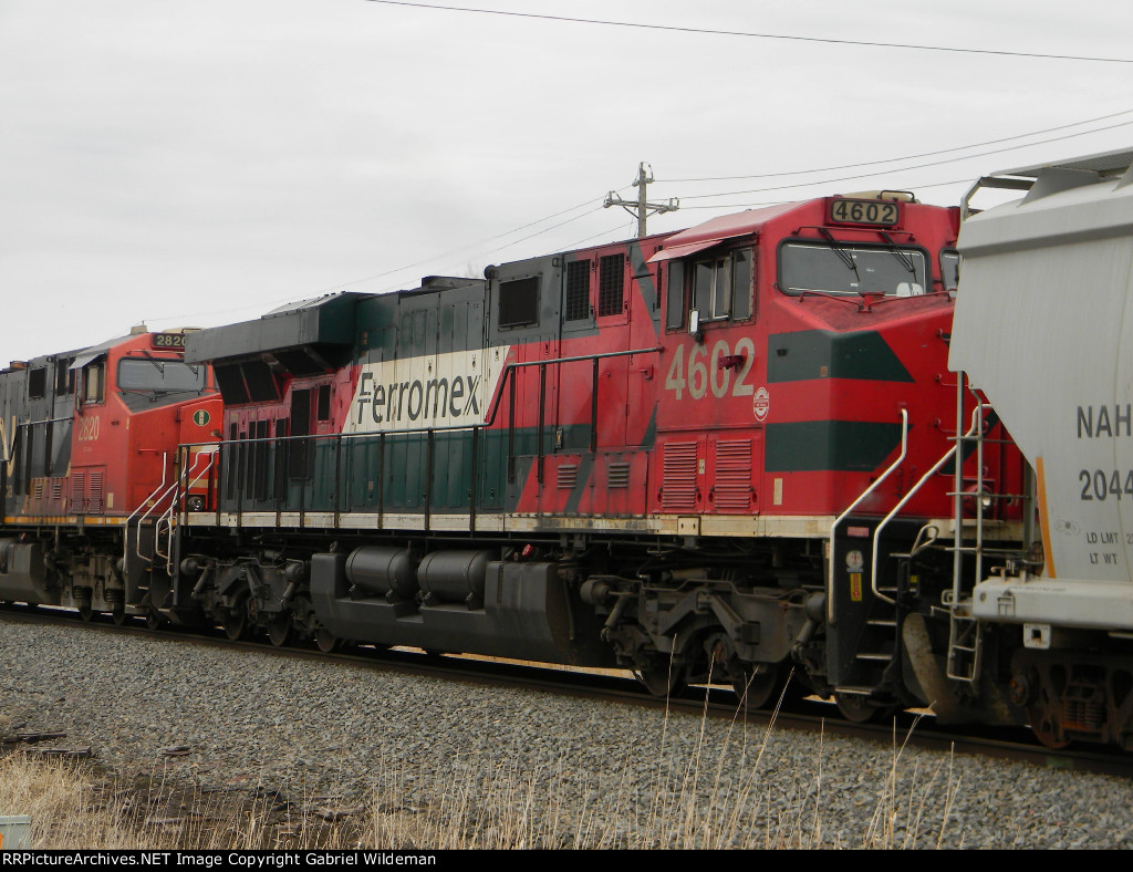FXE 4602